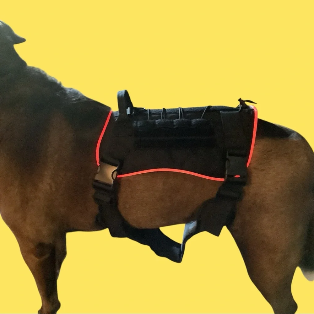 PcEoTllar keep your